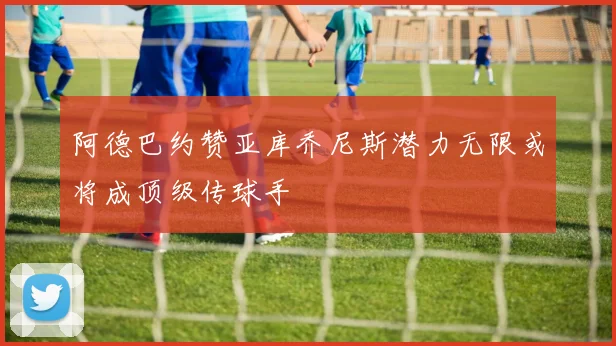 阿德巴约赞亚库乔尼斯潜力无限或将成顶级传球手