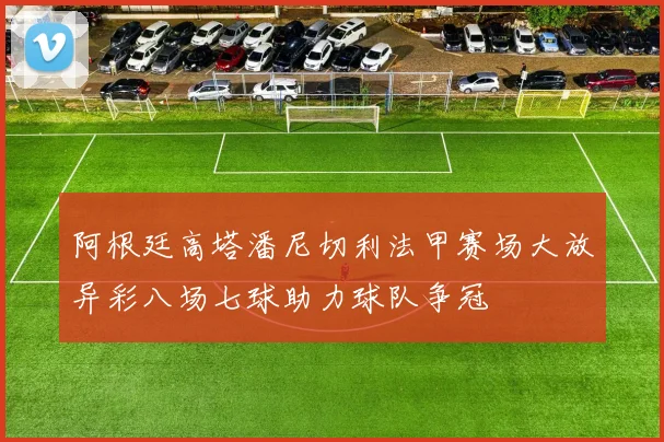 阿根廷高塔潘尼切利法甲赛场大放异彩八场七球助力球队争冠
